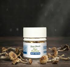 Kind Forest Magic Mushrooms